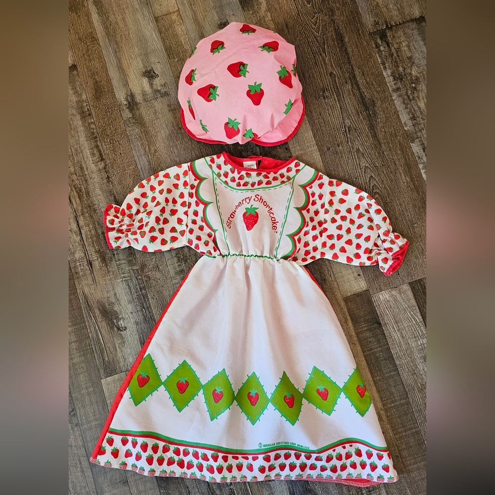 Vintage Strawberry Shortcake Dress